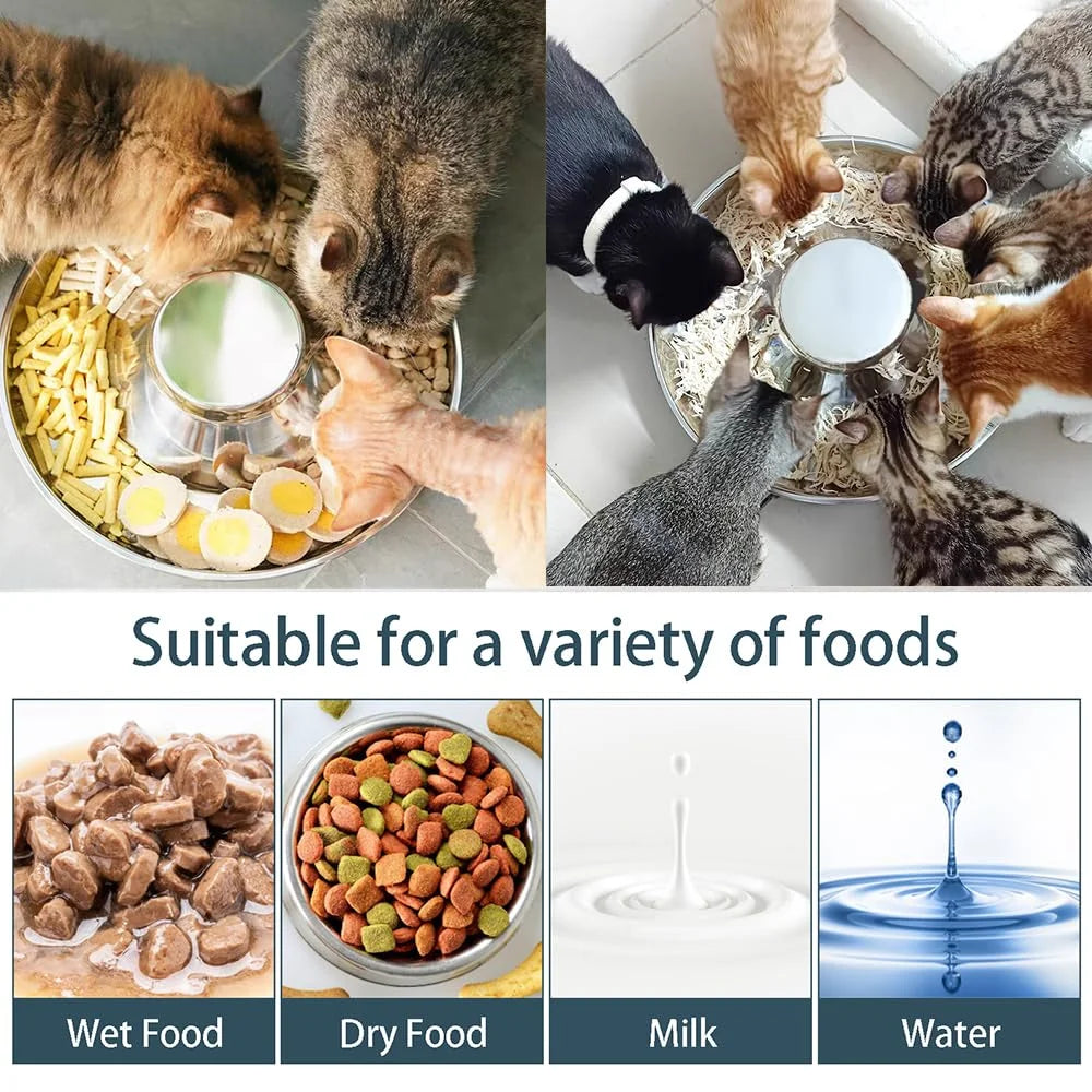 Stainless Steel Dog Slow Feeder Bowl Puppy Litter Food Feeding Dish Weaning Water Bowl Pets Feeder Bowl and Water