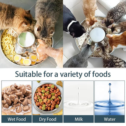 Stainless Steel Dog Slow Feeder Bowl Puppy Litter Food Feeding Dish Weaning Water Bowl Pets Feeder Bowl and Water