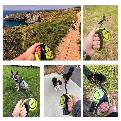 5M Luxury Pet Dog Leashes Retractable Dog Leash For Large Medium Dogs Cat Puppies Accessories Small Automatic Extension Lanyard