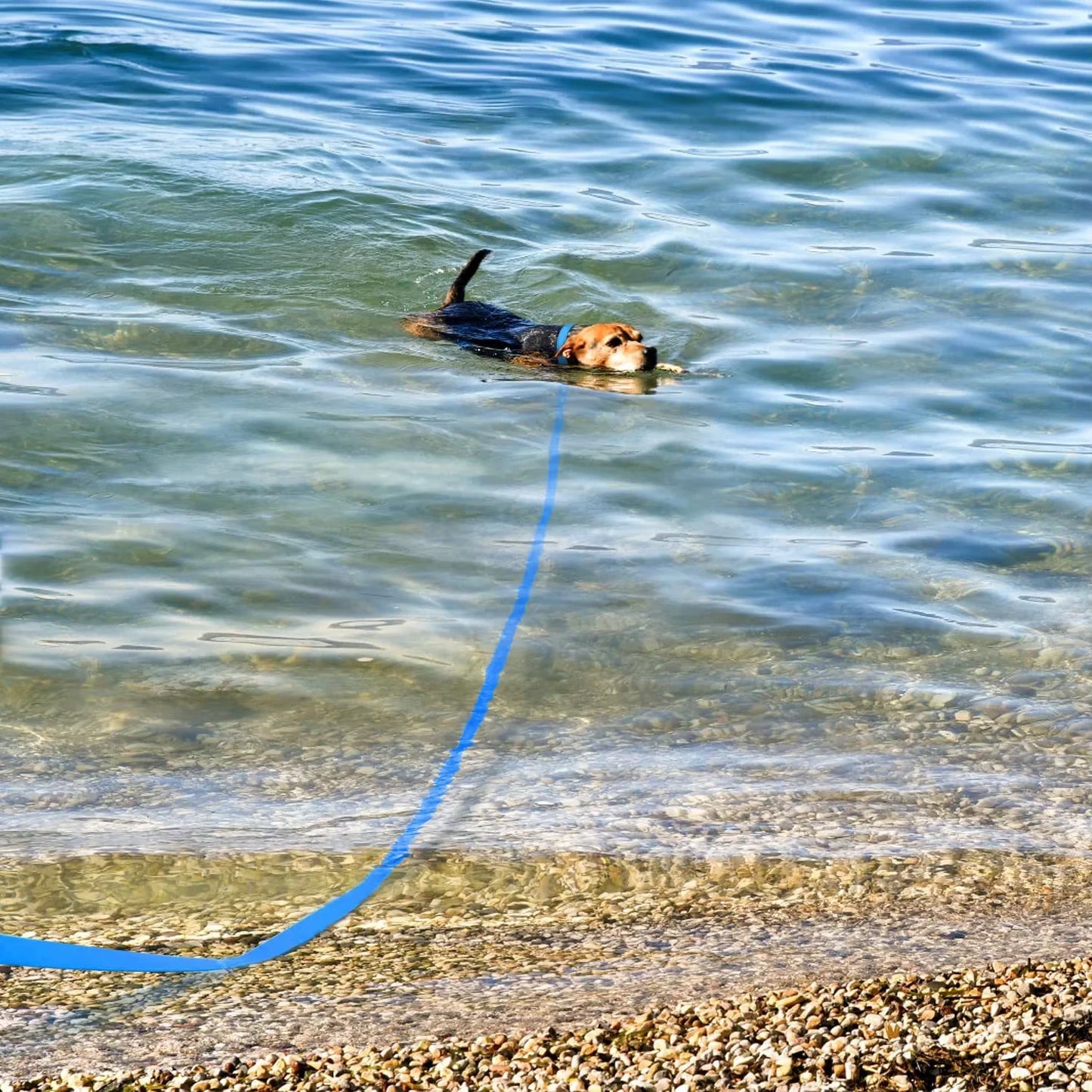 Waterproof PVC Dog Leash 3m 5m 10m 15m Long Strap Nylon Strong Dog Training Leash Walking Anti Fouling Dog Rope 10 Meters Lead