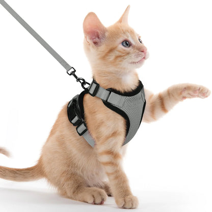 Cat Harness Lead Leash Set Adjustable Reflective Escape Proof Pet Mesh Vest Harness Puppy Dog Collar Small Dog Cat Pet Supplies